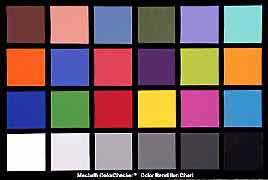 The Fujix DS-515 camera's reproduction of a Macbeth ColorChecker